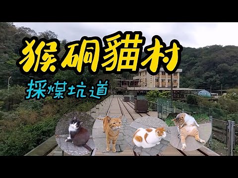 【新北景點】87 猴硐貓村 Houtong Cats Village - Taipei, Taiwan