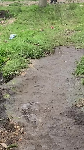 Las Valquirias y su Significado en el Campo de Batalla