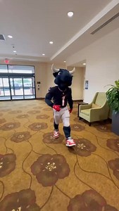 1K views · 6K reactions | wyd if me and my gang pull up #houston #texans #mascot #ohboys | TORO | Facebook