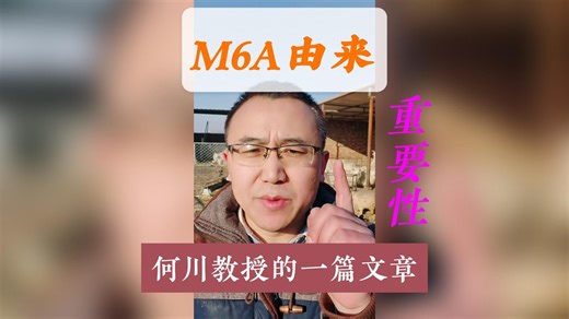 m6A的由来以及重要性有哪些？