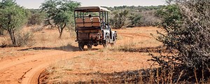 Tswalu Kalahari review: a five-star desert safari