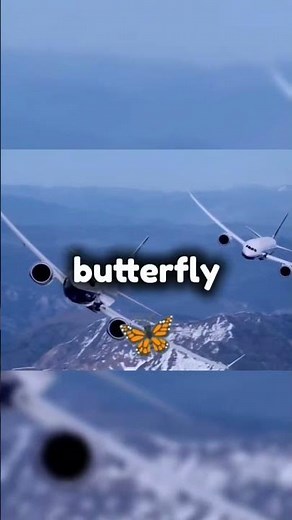 Are you a lover or a fighter? 🤔🔥✈️ #aviation #airplane #boeing #edit #shorts