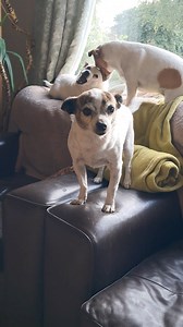 65K views · 5.3K reactions | Before Grumpy Stu's new Crimbo Shop...