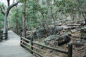 Brisbane's Best Suburban Bush Walks | Must Do Brisbane