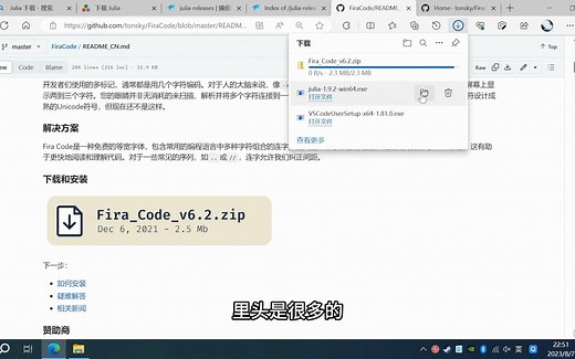 Julia安装，访问Github方法，Fira Code字体安装，VS Code配置，Syslab推荐