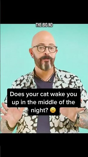 Raise your hand if you have a cat that wakes you up in the middle of the night! #Cats #CatLife