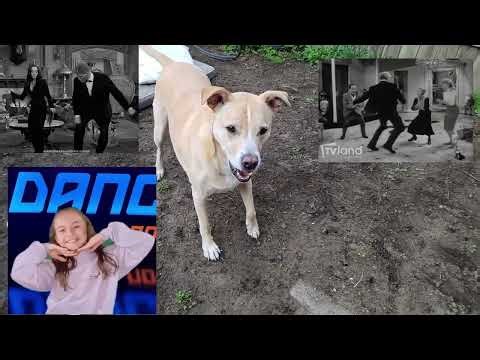 Lucky’s Ultimate Backyard Dance Party! 🐾💃 | Spring 2026