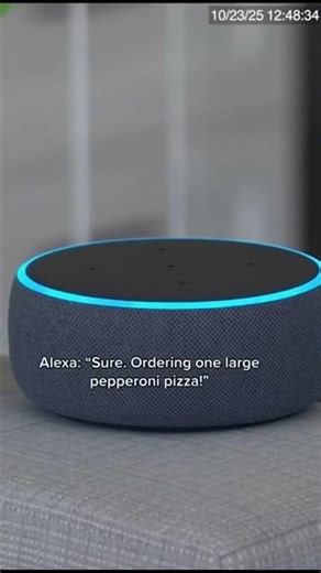 Parrot caught ordering Pizza