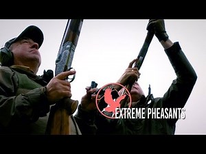 "EXTREME PHEASANTS" - Driven Pheasant Shooting at Whitfield Estate UK (Full Film)