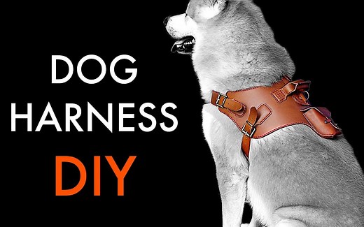 如何制作皮革狗背带 - 教程和图案下载 / Dog Harness DIY - Tutorial and Pattern Download