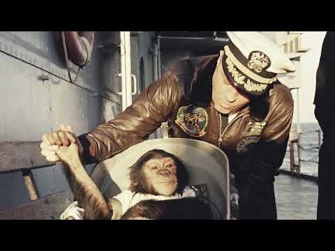HAM was the first chimp in space, 1961