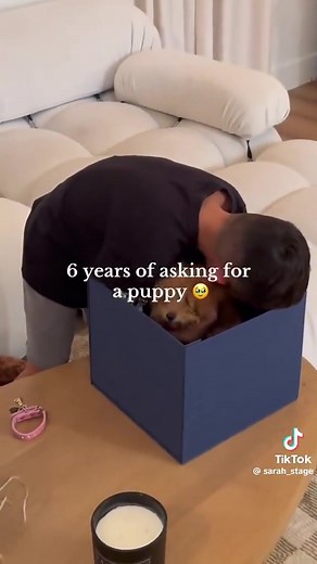 With all of the bad in the world here’s some good. Notice how happy his older brother is for him. | Tim Lee