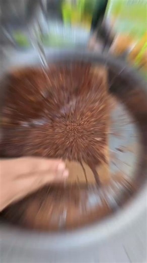 Transform Your Garden with OrganicBazar!  Discover premium vegetable seeds, grow bags, soil, fertilizer, and gardening tools. Start your organic journey today! | OrganicBazar | Facebook