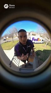 FedEx Delivery Gone Wrong: When the Driver Throws Shade! 📦👋 #viral #fedex #deliveryboy #funny