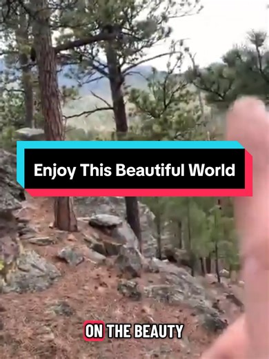 Exploring Ancient Giant Trees: A Journey through History