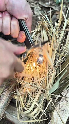 Why Your Ferro Rod Fails on Dry Plant Fibers - The 5-Second Fix #Bushcraft #SurvivalSkills