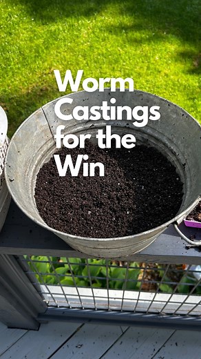 9.2K views · 20 comments | Want a powerhouse soil amendment, rich in...