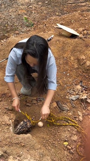 Smart Farming Amazing Bird Trapping Technique #snake #horrorprank