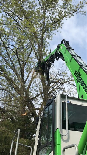 Need to remove a tree canopy in seconds without shutting down the entire road? Boy, do we have the machine for you 🫡😎 #onlysennebogen #sennebogen718 #treework #trees #roadside