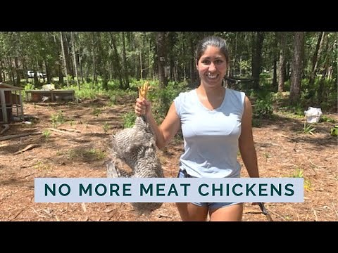 We Butchered Our Chickens | Raising Heritage Chickens for Meat