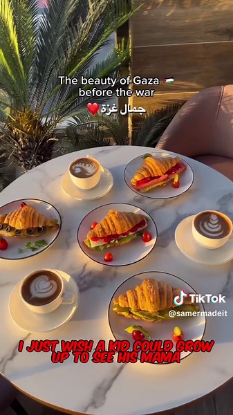 just when you thought this song couldn’t get anymore sad #worldgoesblind #fyp #falasteen #palestine #gaza