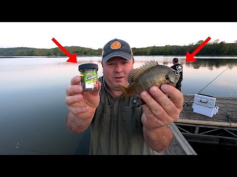 Easy Bluegill Fishing with Gulp Minnows on an Ultralight Spinning Rod