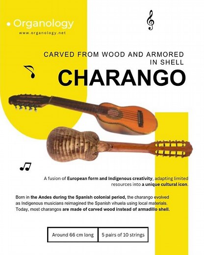 Charango: The Andean Lute of Tradition and Identity