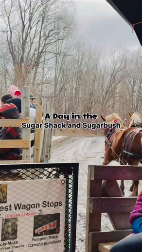 Easter Weekend in Sugar Shack #reel #canadadiaries #canada #sugarshack #montreallife #minivlog #vlog