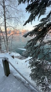 WINTER UPDATE! It's getting very cold! Overnight lows of -10° at the cabin. Fairbanks reports -35°. The river is starting to look a little frosty with ice flowing down. When will it freeze over? Last winter it was around Christmas time. Stay frosty ☃️ my friends! 🥶🤣 | Alaska Outdoors Television