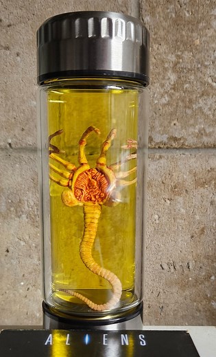 Alien Jar Xenomorph Specimen Facehugger Embryo Glass Jar Movie Prop Replica - Etsy