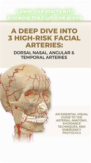 Want a safer, more confident start as a new injector? Knowing the high-risk areas is key. Our 13 High-Risk Injection Patterns show you where not to inject and how to stay safe, lowering anxiety and building real confidence so you can practice your skills without fear. ✅ Part of the 2026 Beginners Foundation Bundle Includes: 13 high-risk patterns, 26 toxin patterns, mature lip guide, interactive anatomy poster, social media training & more ⏰ Ends 1st January Start 2026 injecting safely and confid