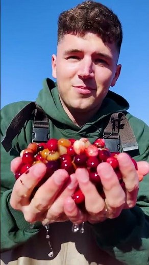 Cranberry Sauce (ft. Lynja)
