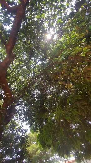 Carlos Leite on TikTok