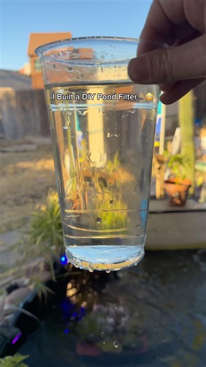 POV: You Finally Achieve Perfect Pond Water 💧🤯 #PondLife #DIYPond #Shorts