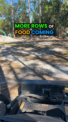 Here's how we are designing and planting our 9.5 acre property From sugarcane and clumping grasses, to mounded fruit tree rows in the center for better drainage, every row is planned, mapped, and built with intention before anything gets planted These rows are laid out with specific widths and spacing Growing food is a long term game, it starts with clearing, cutting grass, mulching, building soil, and doing the hard work upfront before you ever get to enjoy the harvest We learned all of this by