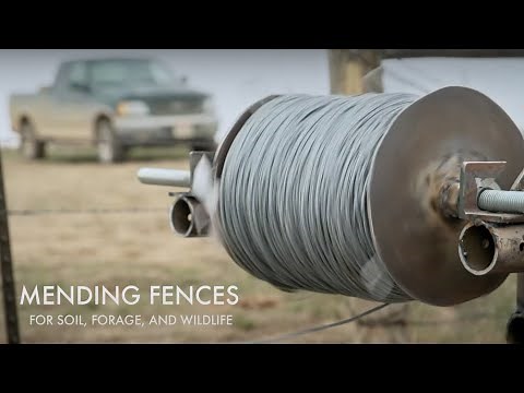 MENDING FENCES: Wildlife-Friendly Fence Installation Makes Sense for Rancher and Conservationist