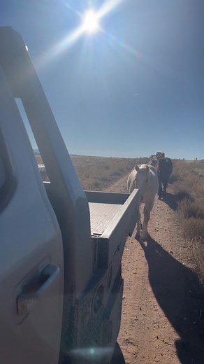 Historic Ranches, Legendary Horses. #k4Ranches #RanchHorses #PerformanceHorses | K4 Ranches