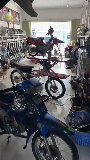 Spring, spring, spring has come #thanhthach