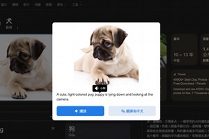 Learn Language from Image