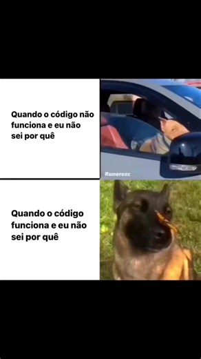 👨🏾‍💻 O vídeo que todo desenvolvedor/programador se identifica e comigo não é diferente rsrsrs, isso resume bastante o que a gnt passa no trabalho, nos projetos pessoais, no dia a dia, etc... É amigos, a vida do Dev não é um morango 🍓😂 • • • • #desenvolvedordesoftware #programacaoweb #conteudodigital #frontend #backend #php #python #javascript #informatica📱💻🖱 #desenvolvimentodesites