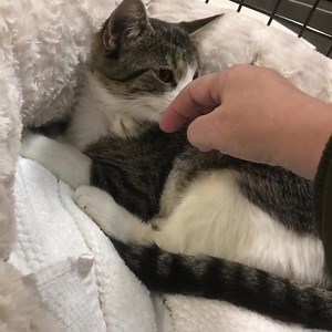 1.8K views · 362 reactions | This mama trapped at a lumber yard with...