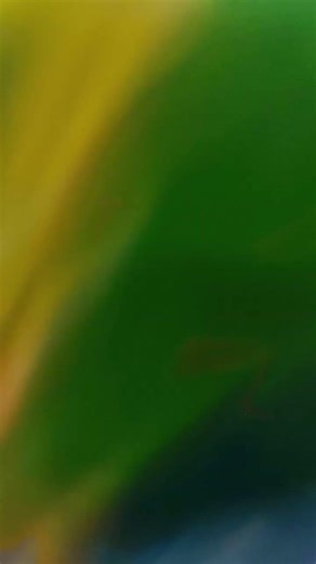 infinity castle ki drawing