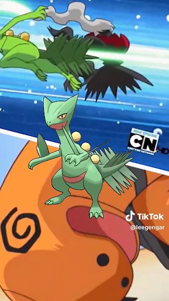 Segredos sobre Sceptile do Ash no Pokémon