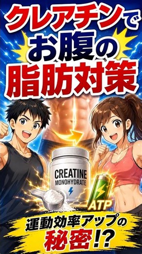 天然のエネルギー再利用パワー！クレアチンでお腹の脂肪対策◯