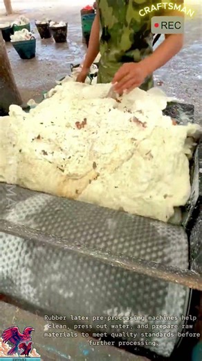 Rubber Latex Pre-Processing Machine #shorts #viral #tools #creative #technology