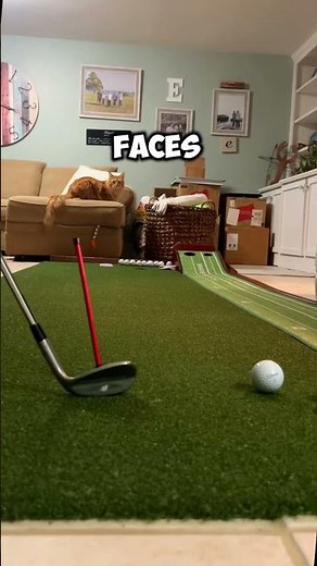 Improve Your Golf Setup with a Magnetic Alignment Rod #golf #golfers #golfing