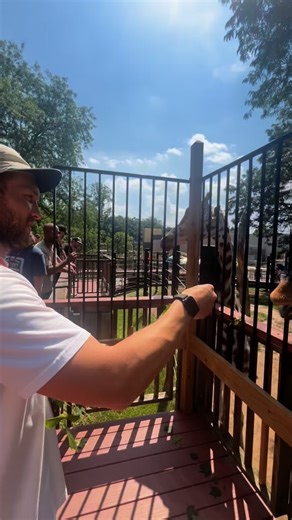 6.6K views · 304 reactions | Talk about trying to make a quick video edit of the past couple shows. God bless video editors. I gave up pretty quickly. Love y’all. Thanks for some really awesome shows these past couple weeks ❤️ thanks to the band and crew for always killing it every night too. Best guys. @jaredalexndr @evanscottpenza @bobbysteinfeld_ @mel_88j @blackbeardatl @jtmtouring @cardinalroserepair and Sam and Shawn. | Phillip Phillips | Facebook