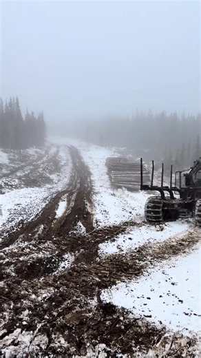 175K views · 1.2K reactions | swamplogging 漢 #LoggingLegend #realismtattoo #forestrylife #johndeere #loggertok #timberdollars #georgialoggers #logging #tigercat #forestry #deer #hunting | Peake Warren | Facebook