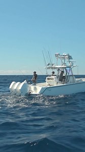 8.8K views · 116 reactions | Slow trolling Live Baits (Full episode of S7 E1 available on YouTube) LINK IN BIO #fishingtime #fishingdaily #fishingvideos #fishingvideo #fishingtv #fishingtvshow #waypointtv #livebait #livebaitfishing #keywestfishing #keywest | Local Knowledge | Facebook