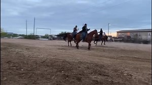 A great practice with a great dummy, we are located in Laredo, TX call or text (956)2022908 insured shipping to all USA  by DHL or FeDex | HM Roping Dummys | Facebook